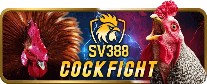 Ưu đãi độc quyền tại vua88 win